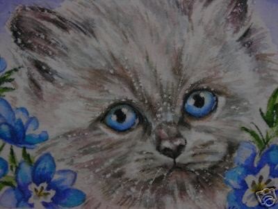 ACEO Himalayan Cat kitten animal print of painting