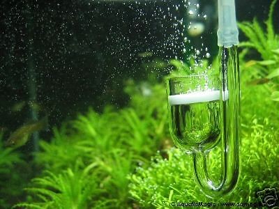 Nano CO2 Diffuser   Live Aquarium Moss Fern Plant Java