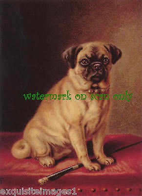 Antique Art~Pug Dog on Red Footstool~NEW Large Note Cards