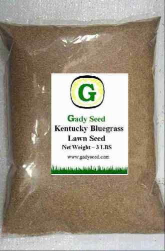 Kentucky Bluegrass Grass Seed   Beautiful Lawn 6 lbs  Direct from 