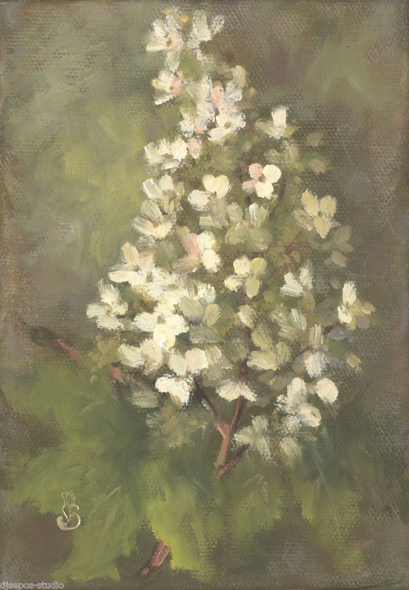 Sepos Daily Painting A Day Still Life Oakleaf Hydrangea Ornamental
