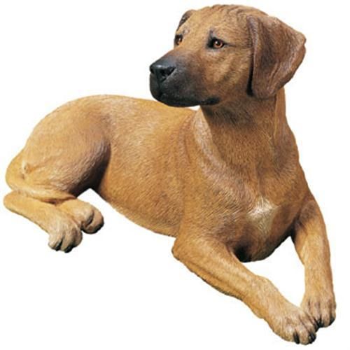  Rhodesian Ridgeback Dog Statue Small Figurine Sculpture
