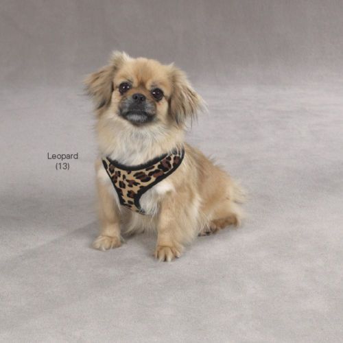  Animal Print Dog Harness Vest Small Dogs Safety Harnesses