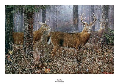Ervin Molnar Buck Deer Grouse Print STARTLED Signed and Numbered