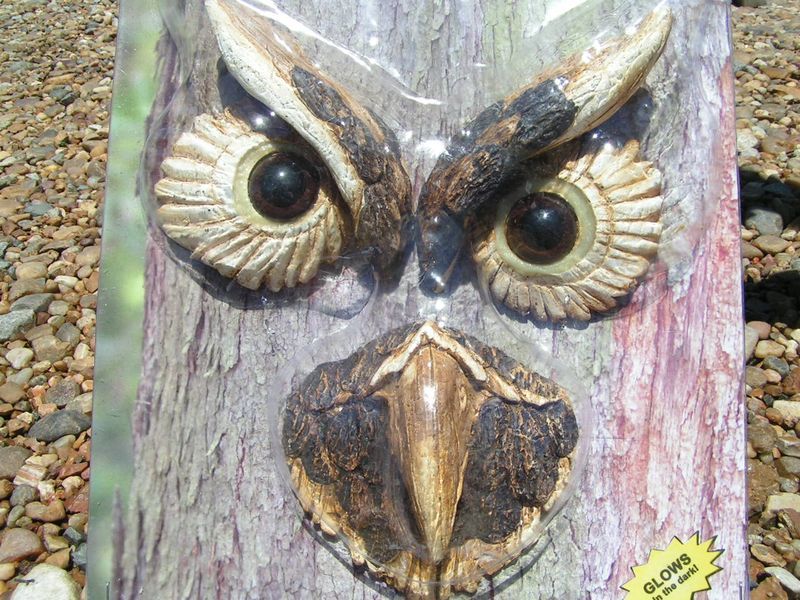 Eyes Glow in The Dark Tree Owl Garden Face