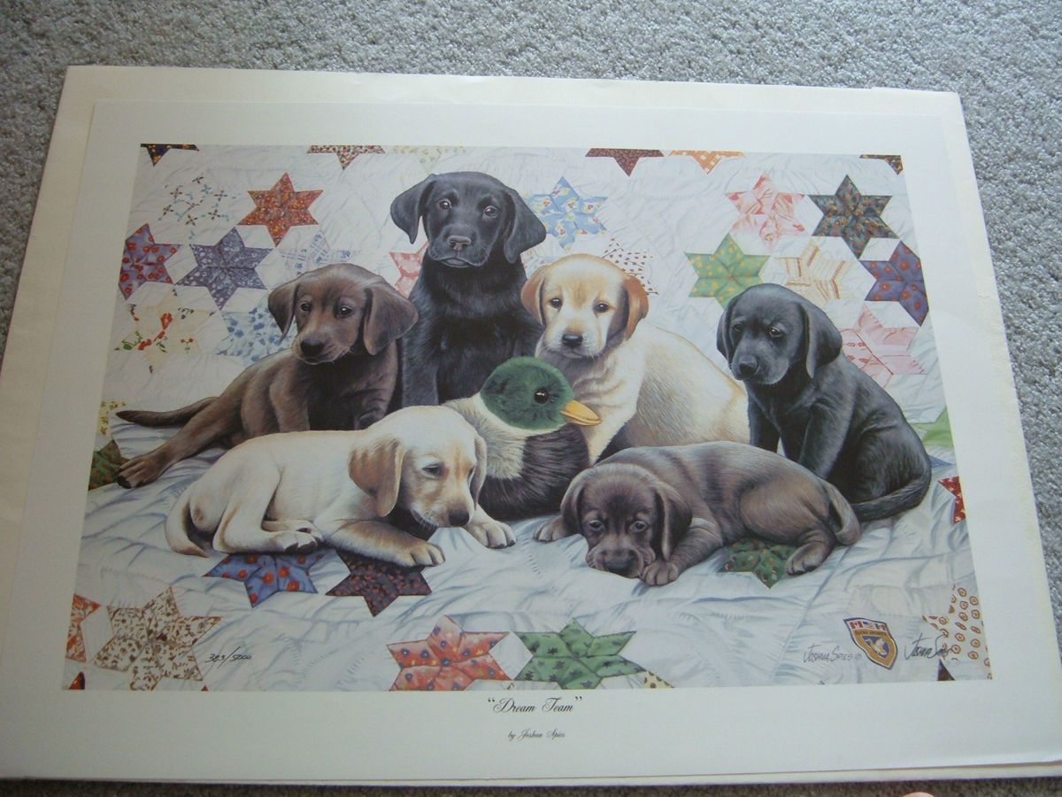 Dream Team by Joshua Spies Signed Numbered Past Ducks Unlimited Print