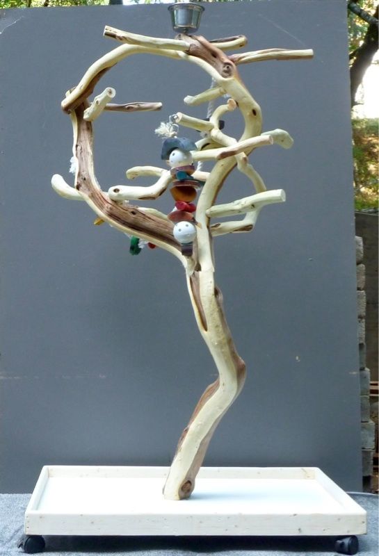 Manzanita Parrot Tree Bird Stand Toy Play Gym Like Java Wood Natural