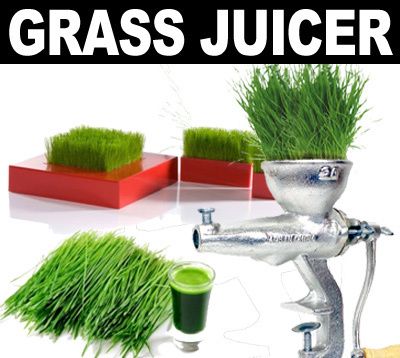 Cast Iron Manual Wheat Grass Fruit Juicer Extractor Grinder