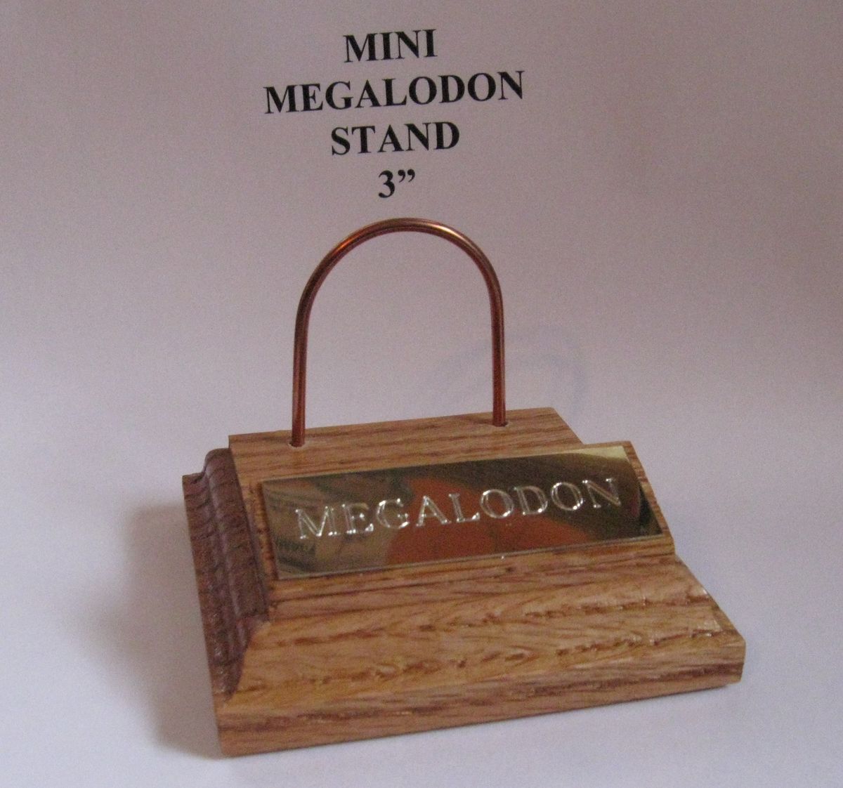 Megalodon Mini Shark Tooth Teeth Stand Gold Engraved Plaque 3x3Mini