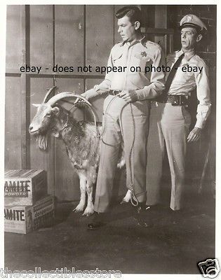 ANDY GRIFFITH TAYLOR TV SHOW DON KNOTTS BARNEY FIFE LOADED GOAT 8 X 10