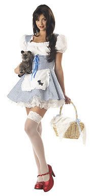 Storybook Sweetheart Womens Adult Dorothy Costume